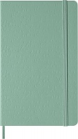 Notatnik Moleskine L duży (13x21cm) Czysty Sage Green Twarda oprawa (Moleskine Plain Notebook Large Hard Sage Green) - 8056711512723
