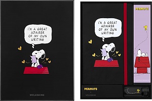 ZESTAW PEANUTS CREAT.SET NOTES SNOP+12 OŁÓWKÓW +TEMP BOX - 8056999277178