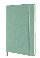 Notatnik Moleskine L duży (13x21cm) w Linie Szałwiowa Zieleń Twarda oprawa (Moleskine Ruled Notebook Large Hard Sage Green) - 8056999279080