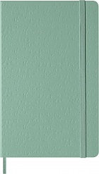 Notatnik Moleskine L duży (13x21cm) Czysty Sage Green Twarda oprawa (Moleskine Plain Notebook Large Hard Sage Green) - 8056711512723