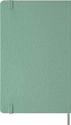 Notatnik Moleskine L duży (13x21cm) Czysty Sage Green Twarda oprawa (Moleskine Plain Notebook Large Hard Sage Green) - 8056711512723