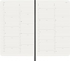 Kalendarz Moleskine 2026 12M rozmiar L (duży 13x21 cm) Miesięczny Czarny Miękka oprawa (Moleskine Monthly Diary/Planner 2026 Large Black Soft Cover) - 8056999275327