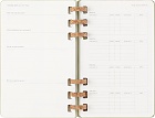 Kalendarz Moleskine 2025-2026 Akademicki (od lipca do czerwca) rozmiar L (13x21 cm) na Spirali Tygodniowy i Miesięczny Zielony Kiwi Twarda oprawa (Moleskine Academic Spiral Weekly and Monthly Planner 2025-2026 Large Crush Kiwi) - 8056999276508