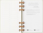 Kalendarz Moleskine 2025-2026 Akademicki (od lipca do czerwca) rozmiar L (13x21 cm) na Spirali Tygodniowy i Miesięczny Zielony Kiwi Twarda oprawa (Moleskine Academic Spiral Weekly and Monthly Planner 2025-2026 Large Crush Kiwi) - 8056999276508