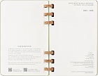 Kalendarz Moleskine 2025-2026 Akademicki (od lipca do czerwca) rozmiar L (13x21 cm) na Spirali Tygodniowy i Miesięczny Zielony Kiwi Twarda oprawa (Moleskine Academic Spiral Weekly and Monthly Planner 2025-2026 Large Crush Kiwi) - 8056999276508