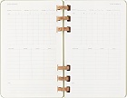 Kalendarz Moleskine 2025-2026 Akademicki (od lipca do czerwca) rozmiar L (13x21 cm) na Spirali Tygodniowy i Miesięczny Zielony Kiwi Twarda oprawa (Moleskine Academic Spiral Weekly and Monthly Planner 2025-2026 Large Crush Kiwi) - 8056999276508