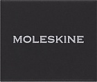 Moleskine Przypinka Choinka Srebrna z serii Litery i Symbole (Moleskine Letters and Symbols Christmas Tree Silver) – 8056598852479