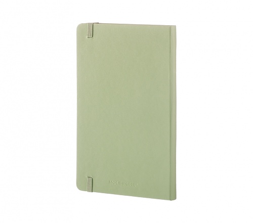 Notatnik Moleskine L duży (13x21cm) Czysty Pistacja Twarda oprawa (Moleskine Plain Notebook Large Hard Willow Green) - 8051272893700