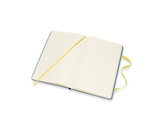 Notes Moleskine Minionki w linię, duży [13x21cm], niebieski twarda oprawa (Moleskine Minion Limited Edition Notebook Large Ruled Hard)