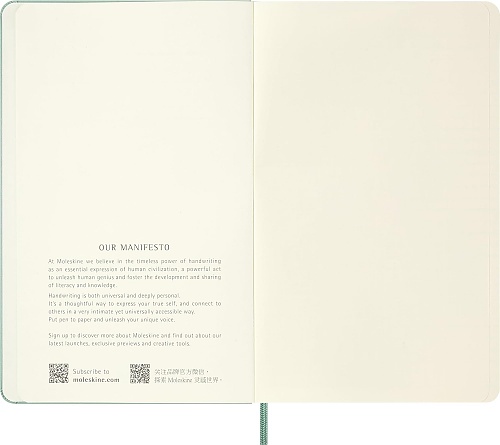 Notatnik Moleskine L duży (13x21cm) Czysty Sage Green Twarda oprawa (Moleskine Plain Notebook Large Hard Sage Green) - 8056711512723