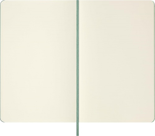 Notatnik Moleskine L duży (13x21cm) Czysty Sage Green Twarda oprawa (Moleskine Plain Notebook Large Hard Sage Green) - 8056711512723