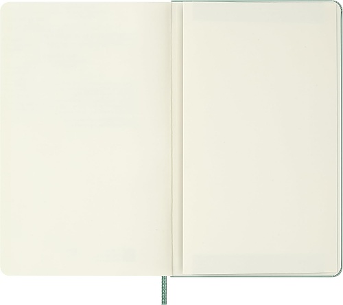Notatnik Moleskine L duży (13x21cm) Czysty Sage Green Twarda oprawa (Moleskine Plain Notebook Large Hard Sage Green) - 8056711512723