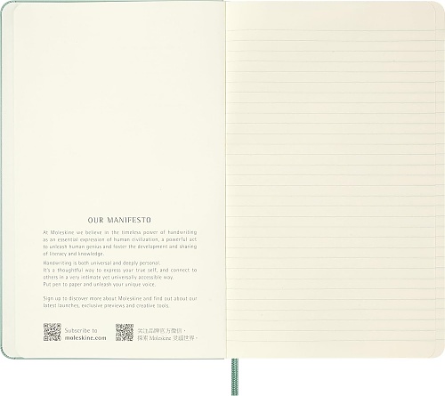 Notatnik Moleskine L duży (13x21cm) w Linie Szałwiowa Zieleń Twarda oprawa (Moleskine Ruled Notebook Large Hard Sage Green) - 8056999279080