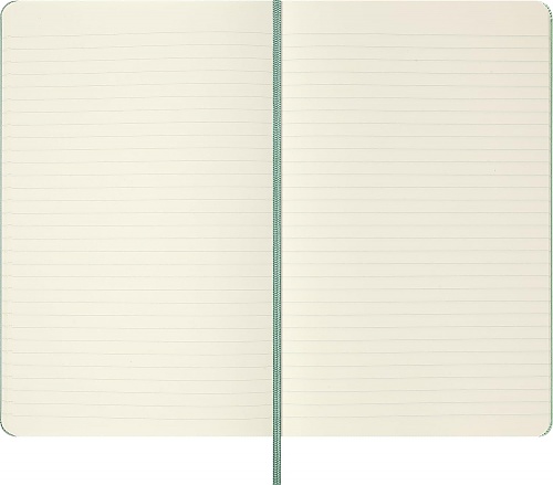 Notatnik Moleskine L duży (13x21cm) w Linie Szałwiowa Zieleń Twarda oprawa (Moleskine Ruled Notebook Large Hard Sage Green) - 8056999279080