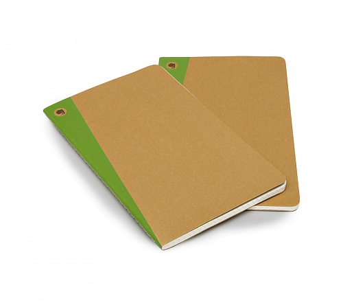 Zestaw 2 zeszytów Moleskine Evernote L duże (13x21 cm) w Kratkę Piaskowo-Zielone z nalejkami (Moleskine Set of 2 Evernote Squared Journals) - 9788867323937