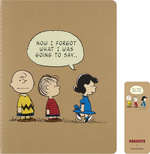 ZESTAW PEANUTS BUNDLE X3 ZESZYT CAHIER XL (19X25) - 8056999277109