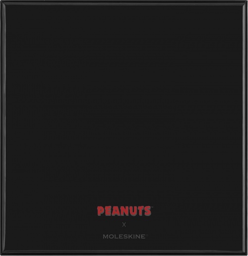 ZESTAW PEANUTS THEMED BOX NOTES SNOOPY + 4 OŁÓWKI - 8056999277161