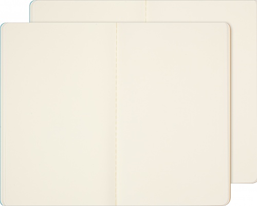 Moleskine Impresjoniści Muzem D\'Orsay Zestaw 2 Zeszytów Cachier L dużych (13x21 cm) Czystych Miękka Okładka (Moleskine Limited Edition Impressions of Impressionism Musee D\'Orsay Set of 2 Cahier Journal Plain Black and Gray Soft Cover) - 8056999275778