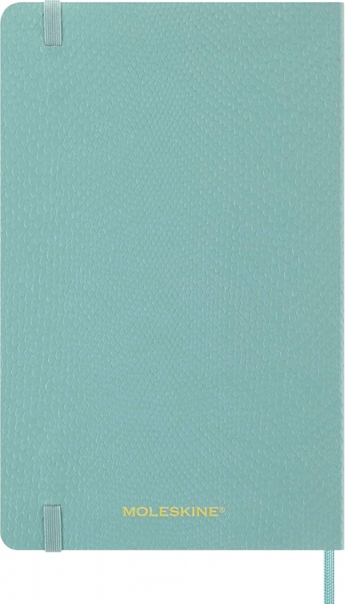 Kalendarz Moleskine 2026 12M rozmiar L (duży 13x21 cm) Tygodniowy sztuczna Skóra Węża Jasnozielona Miękka Wegańska Oprawa w Pudełku (Moleskine 2026 Precious and Ethical Weekly Diary/Planner Box 12M Sage Green Soft Cover) - 8056999276621