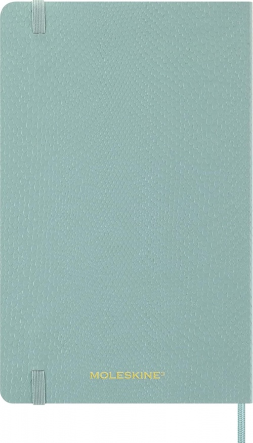Kalendarz Moleskine 2027 12M rozmiar L (duży 13x21 cm) Tygodniowy sztuczna Skóra Węża Jasnozielona Miękka Wegańska Oprawa w Pudełku (Moleskine 2027 Precious and Ethical Weekly Diary/Planner Box 12M Sage Green Soft Cover) - 8056999274832