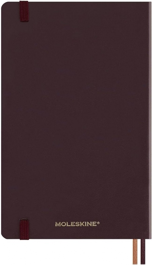 Kalendarz Moleskine 2025 12M Harry Potter Accio rozmiar L (duży 13x21 cm) Dzienny Bordowy Twarda oprawa (Moleskine Limited Edition Harry Potter Accio Daily Notebook/Planner 2025 Bordeaux Large Hard Cover) - 8056999272166