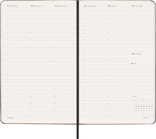Kalendarz Moleskine 2026 12M PRO rozmiar L (duży 13x21 cm) Wertykalny Tygodniowy Czarny Twarda oprawa (Moleskine Weekly Vertical 2026 PRO Planner Large Black Hard Cover) - 8056999274658