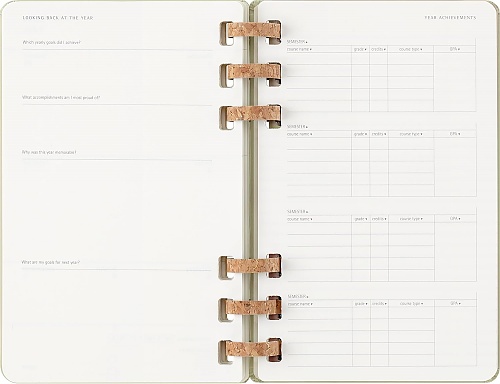 Kalendarz Moleskine 2025-2026 Akademicki (od lipca do czerwca) rozmiar L (13x21 cm) na Spirali Tygodniowy i Miesięczny Zielony Kiwi Twarda oprawa (Moleskine Academic Spiral Weekly and Monthly Planner 2025-2026 Large Crush Kiwi) - 8056999276508