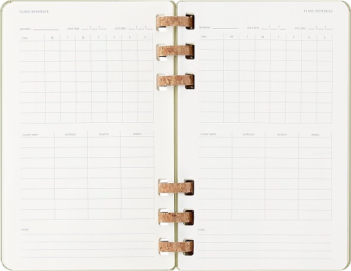 Kalendarz Moleskine 2025-2026 Akademicki (od lipca do czerwca) rozmiar L (13x21 cm) na Spirali Tygodniowy i Miesięczny Zielony Kiwi Twarda oprawa (Moleskine Academic Spiral Weekly and Monthly Planner 2025-2026 Large Crush Kiwi) - 8056999276508