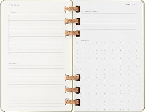 Kalendarz Moleskine 2025-2026 Akademicki (od lipca do czerwca) rozmiar L (13x21 cm) na Spirali Tygodniowy i Miesięczny Zielony Kiwi Twarda oprawa (Moleskine Academic Spiral Weekly and Monthly Planner 2025-2026 Large Crush Kiwi) - 8056999276508