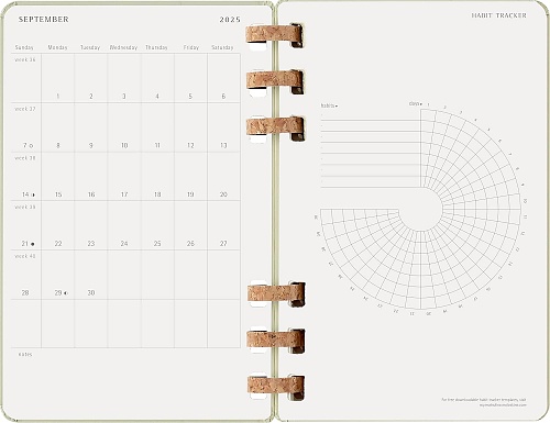 Kalendarz Moleskine 2025-2026 Akademicki (od lipca do czerwca) rozmiar L (13x21 cm) na Spirali Tygodniowy i Miesięczny Zielony Kiwi Twarda oprawa (Moleskine Academic Spiral Weekly and Monthly Planner 2025-2026 Large Crush Kiwi) - 8056999276508