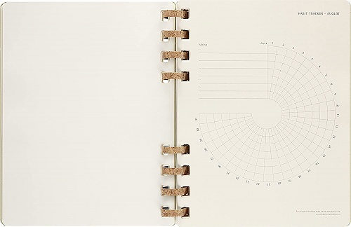 Kalendarz Moleskine 2022-2023 Akademicki (od lipca do czerwca) rozmiar XL (19x25 cm) na Spirali Tygodniowy i Miesięczny Zielony Kiwi Twarda oprawa (Moleskine Academic Spiral Weekly and Monthly Planner 2022-2023 Extra Large Crush Kiwi) - 8056598851724