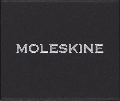 Moleskine Przypinka Choinka Srebrna z serii Litery i Symbole (Moleskine Letters and Symbols Christmas Tree Silver) – 8056598852479